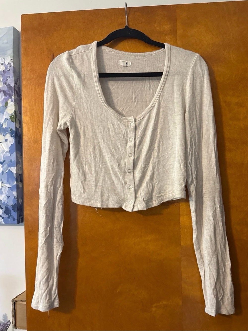 aerie Beige Long Sleeve Button Crop Top